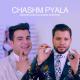 Bashir Wafa feat. Nazer Surood - Eshta lalai