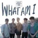 album image What Am I What Am I - Single
