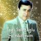Tagi Salehoglu - Sevdaliyam