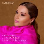 album image Ne qeder sizlamisam Sənsizləmişəm - Single
