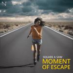 album image Moment of Escape Moment of Escape - Single