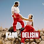 album image Like It / Fit Girl & EVO X Delisin - Single