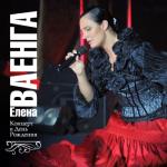 album image Снег Концерт в день рождения (Live)