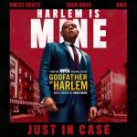 album image Just in Case Just in Case (feat. Swizz Beatz, Rick Ross & DMX) - Single