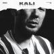 Kali feat. Gruppa Skryptonite, Maqlao - Правил нет