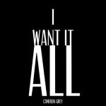 album image Desire (Kanzi remix) I Want It All - Single