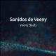 Veeny Beats - Wizkid Joro