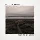 Chester Malone Feat. Lollo Gardtman - Love And War