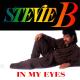 Stevie B - I Wanna Be the One