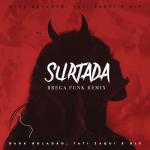 album image Surtada Surtada (Remix Brega Funk) - Single