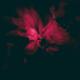 Zubi, Visceral Design, anatu - she fall