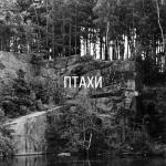 album image Птахи Птахи - Single