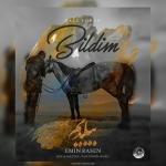 album image Bildim Bildim - Single