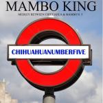 album image Mambo N. 5 Chihuahua Number Five