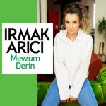 album image Mevzum Derin Mevzum Derin - Single