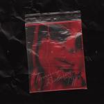 album image XO Птица Вавилон
