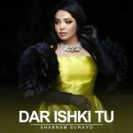 album image Dar Ishki Tu Dar Ishki Tu - Single