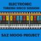 Saz Moog Project - Zuleyha