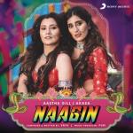 album image Naagin Naagin - Single