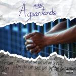 album image Aguantando Aguantando - Single