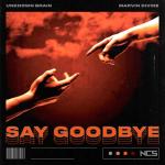 album image Say Goodbye Say Goodbye (feat. Marvin Divine) - Single