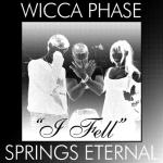 album image I fell I Fell (Darby Allin AEW Theme) - Single