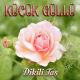 Küçük Güllü - Oyuncak Gibi