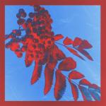 album image Снегири Снегири - Single