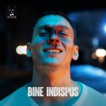 album image Bine Indispus Bine Indispus - Single