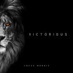 album image Victorious Victorious - Single