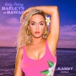 album image 05. Harley in Hawaii Harleys In Hawaii (KANDY Remix) - Single