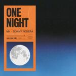 album image One Night (Luke Hepworth Remix) One Night (feat. Raphaella) - Single