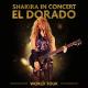Shakira - Can't Remember to Forget You