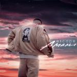 album image Amali (modified V.Ronaldo) Амали - Single