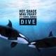 Hot Shade, Mike Perry feat. Chris James - Dive