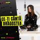 Roxen - Ce-ți cântă dragostea