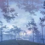 album image Cold Cold (feat. Olivia Addams) - Single