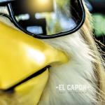 album image Shut Up Chicken Shut Up Chicken (Radio Edit) - Single