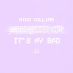 album image It's My Bad It's My Bad - Single