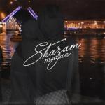 album image Shazam Shazam - Single
