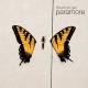 Paramore - Brick By Boring Brick