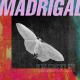 Madrigal - Kelebekler