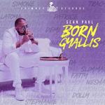 album image Born Gyallis Born Gyallis (feat. Sean Paul) - Single
