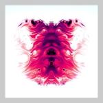 album image MEDUZZA RMX 2019