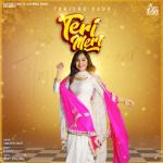 album image Teri Meri Teri Meri - Single