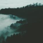 album image 16 лет 16 лет (feat. Safa) - Single