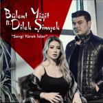 album image Sevgi Yürek İster Sevgi Yürek İster - Single