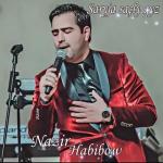 album image Toy aydymlar (vk.com/bagshylar)