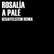 • Rosalia - A Pale (Gesaffelstein Remix)