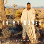 album image In My Bones In My Bones - Single